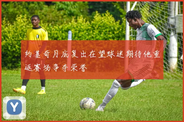 约基奇月底复出在望球迷期待他重返赛场争夺荣誉