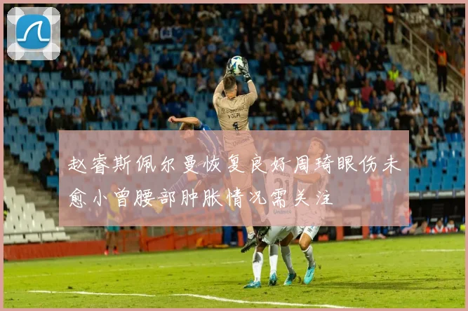 赵睿斯佩尔曼恢复良好周琦眼伤未愈小曾腰部肿胀情况需关注