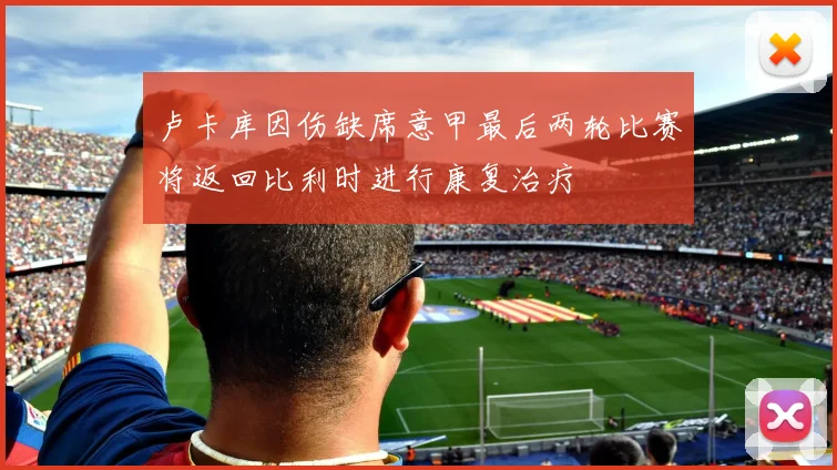 卢卡库因伤缺席意甲最后两轮比赛将返回比利时进行康复治疗